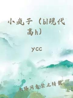 小疯子（bl现代高h）