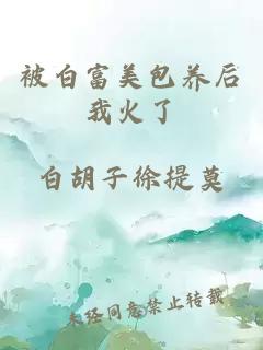 被白富美包养后我火了