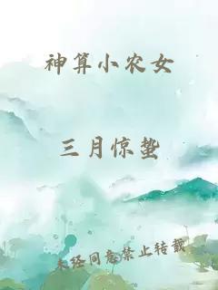 神算小农女