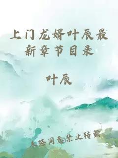 上门龙婿叶辰最新章节目录