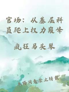 官场：从基层科员爬上权力巅峰