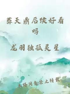葬天鼎后续好看吗