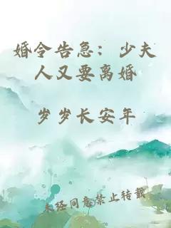 婚令告急：少夫人又要离婚