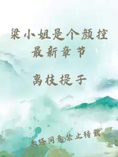 梁小姐是个颜控最新章节