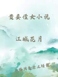 贵妾侄女小说