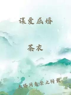 谋爱成婚