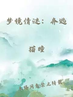 梦镜情谜：奔逃