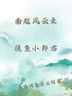 南越风云录