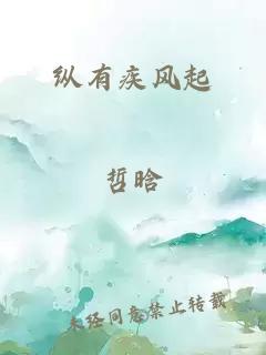 纵有疾风起