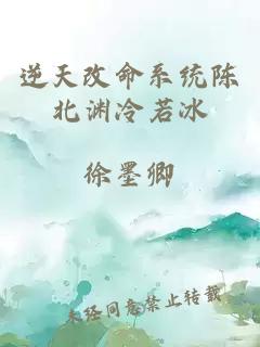 逆天改命系统陈北渊冷若冰