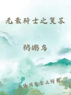 元素骑士之复苏