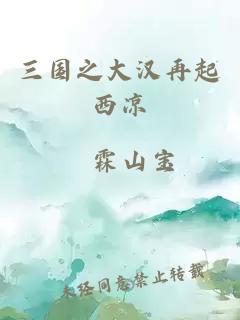 三国之大汉再起西凉