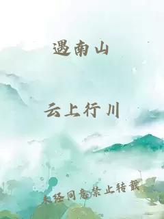 遇南山