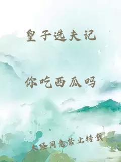 皇子选夫记