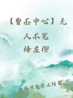 【曹丕中心】无人不冤