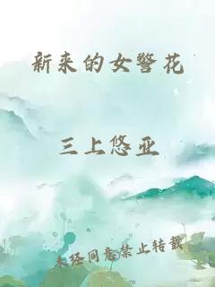 新来的女警花