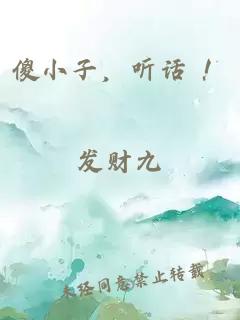 傻小子，听话 ！