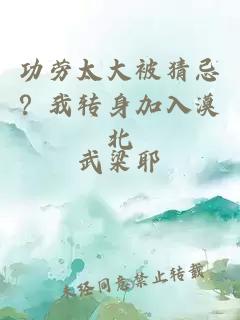 功劳太大被猜忌？我转身加入漠北