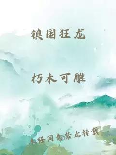 镇国狂龙