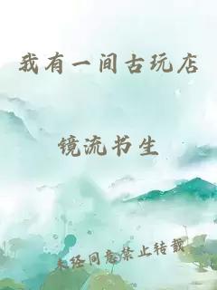 我有一间古玩店