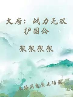 大唐：战力无双护国公