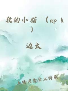 我的小猫 （np h）
