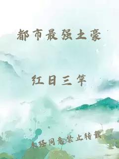 都市最强土豪