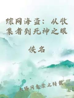 综网海盗：从收集者到死神之眼