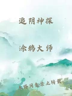 追阴神探