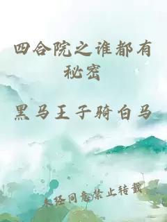 四合院之谁都有秘密