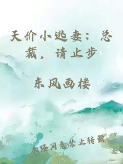 天价小逃妻：总裁，请止步