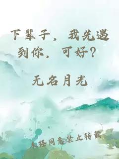下辈子，我先遇到你，可好？
