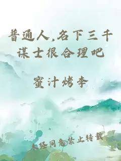 普通人,名下三千谋士很合理吧