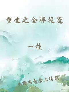 重生之金牌投资