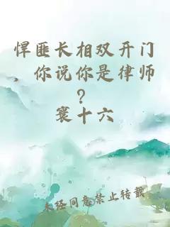 悍匪长相双开门，你说你是律师？