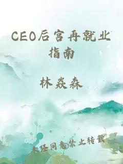 CEO后宫再就业指南