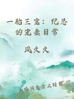 一胎三宝：纪总的宠妻日常