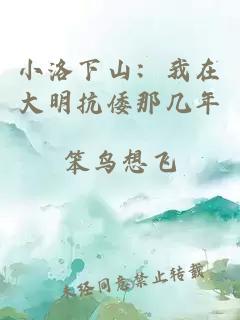 小洛下山：我在大明抗倭那几年