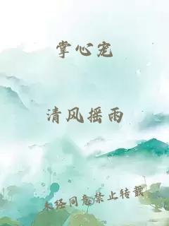 掌心宠