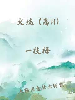 火炕 (高H)