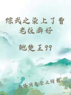 综武之染上了曹老板癖好