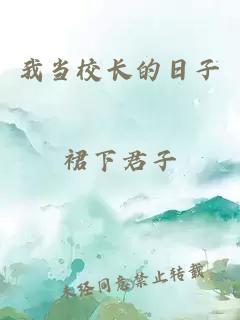我当校长的日子