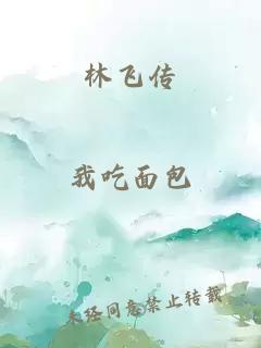 林飞传