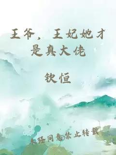 王爷,王妃她才是真大佬