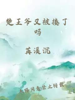 楚王爷又被揍了吗