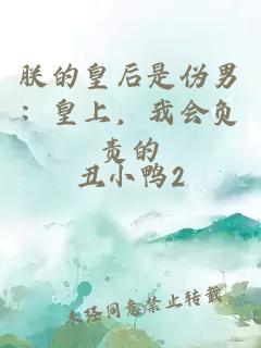 朕的皇后是伪男：皇上，我会负责的