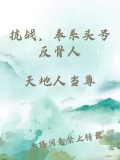 抗战,奉系头号反骨人小说封面 抗战,奉系头号反骨人