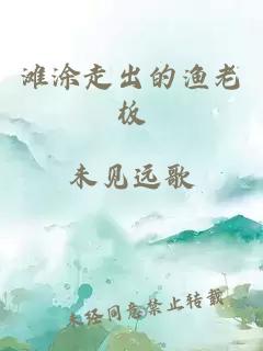 滩涂走出的渔老板小说封面 滩涂走出的渔老板
