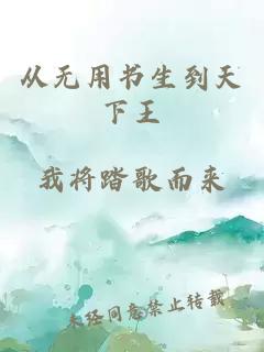 从无用书生到天下王