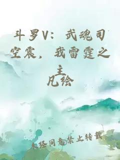 斗罗V：武魂司空震，我雷霆之主